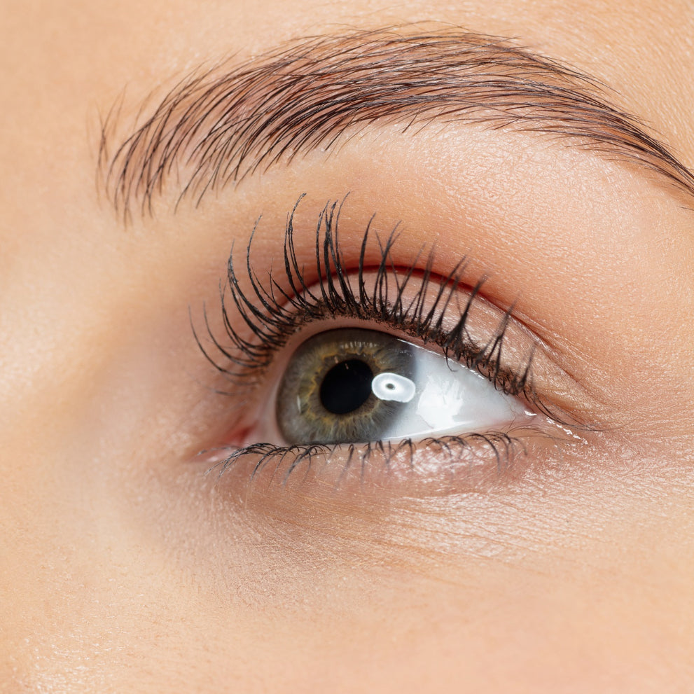 Lash- und Browlifting – frischer Sommerlook, ohne viel Aufwand
