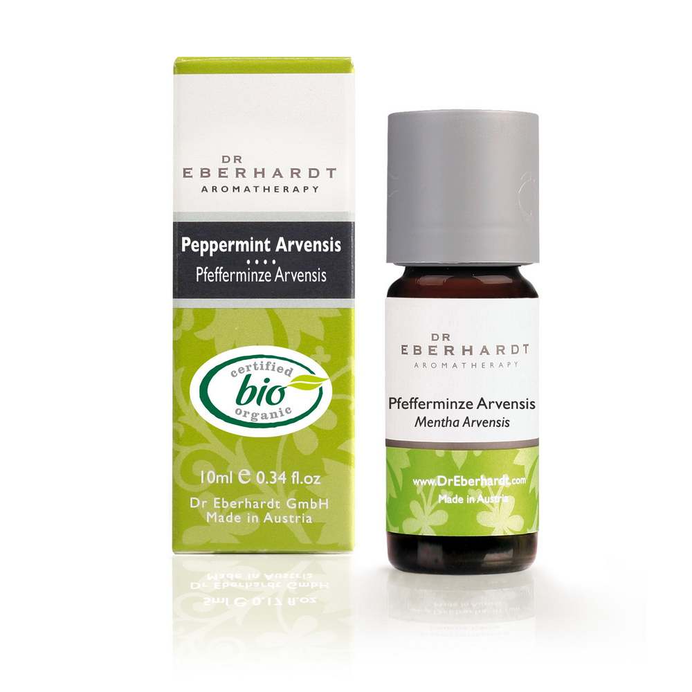 Pfefferminze Arvensis Bio 10 ml von Dr. Eberhardt