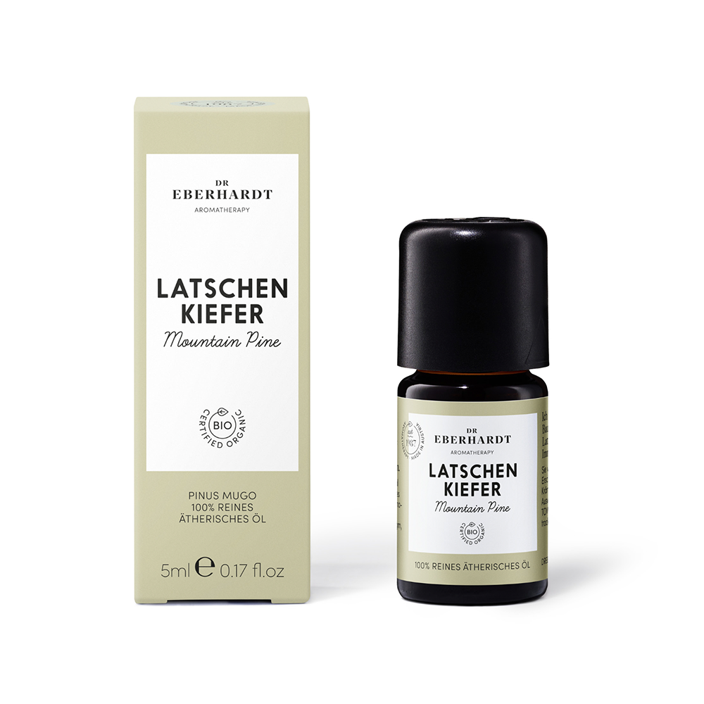 Latschenkiefer 5 ml
